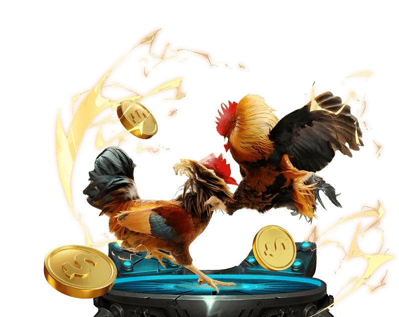 Cá cược Đấu Gà tại tele789